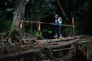 BIB: 
                            <button type="button" onclick="openModal(27561463)" class="btn btn-primary btn-sm float-right btn-popup" data-toggle="modal" data-target=".modal-high-quality">
                        <i class="fas fa-shopping-cart"></i> Add to Cart
                    </button>
                                            <button type="button" onclick="isThisMe(27561463, true)" class="btn btn-success btn-sm float-right btn-popup btn-isme hidden" data-toggle="tooltip" data-placement="bottom" title="นี่คือรูปของคุณใช่ไหม คลิกที่นี่เพื่อเอาเข้าอัลบั้ม">
                        <i class="fas fa-plus"></i> Add to album
                    </button>
                    <button type="button" onclick="isThisMe(27561463, false)" class="btn btn-warning btn-sm float-right btn-popup btn-isnotme hidden">
                        <i class="fas fa-ban"></i> Remove from album
                    </button>